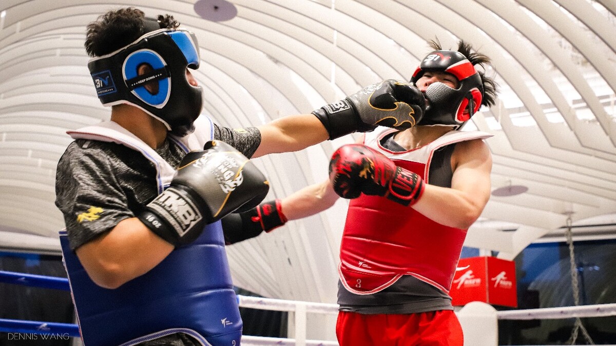 热血搏击，巅峰赛场上激情飞扬的简单介绍