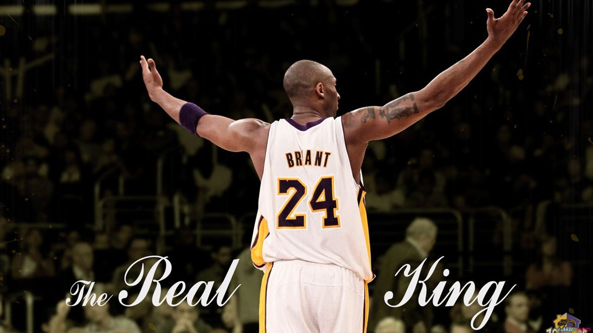 东契奇一臂擎天定乾坤，黄蜂铁蹄无情碾掘金