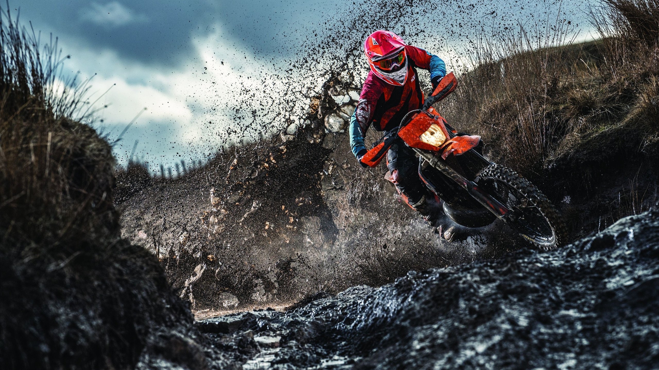 跨界统治力,从CBA碾压到F1赛道,竞技场上的接管哲学